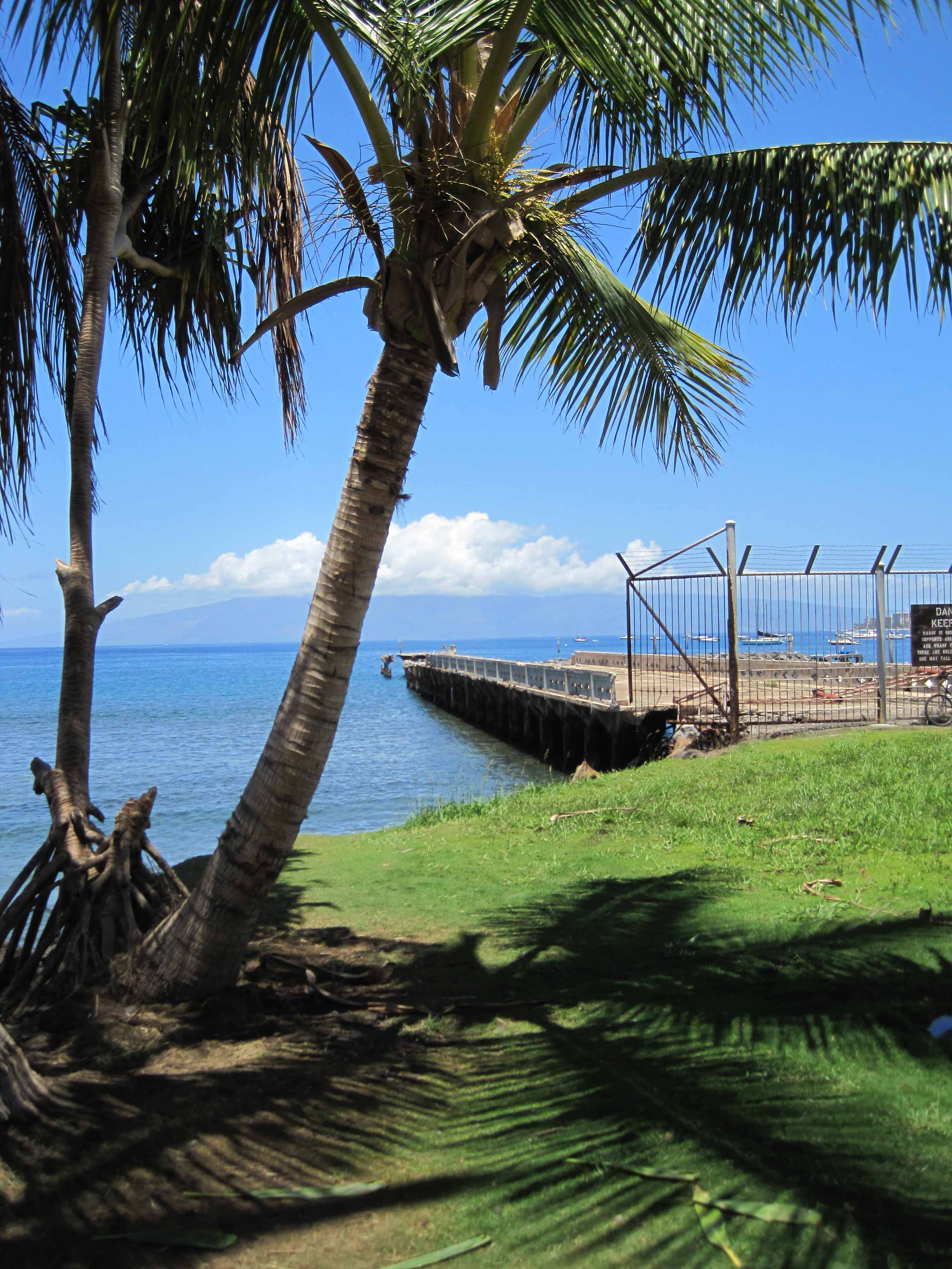 MALA WHARF PIER MAUI in LAHAINA | In 2 Scuba Diving Maui Dive Co.