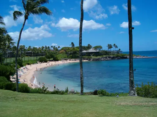 Shore Dive Maui Kapalua Bay