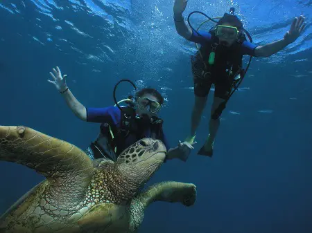 Small Group Scuba Diving In Lahaina Maui