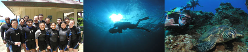 Maui Scuba Divers Banner