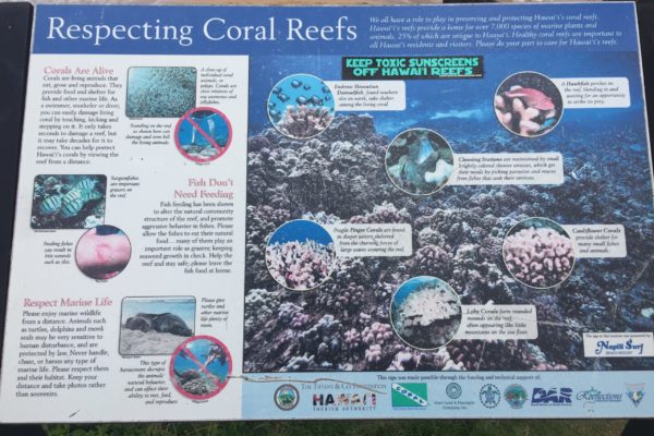 Maui Scuba Reef Awareness