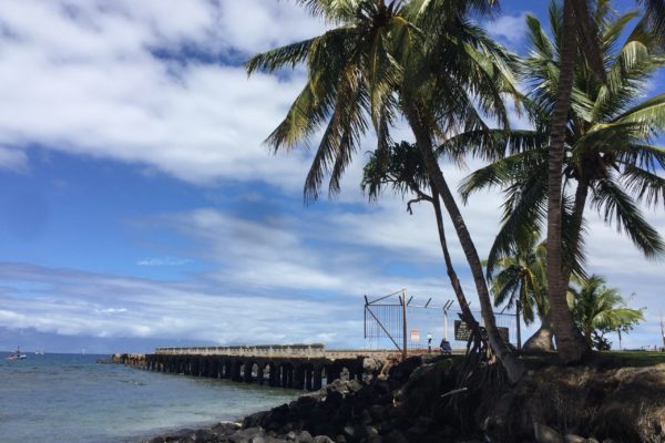 Maui scuba dive site Mala wharf Lahaina