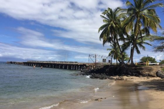Maui scuba dive site mala wharf