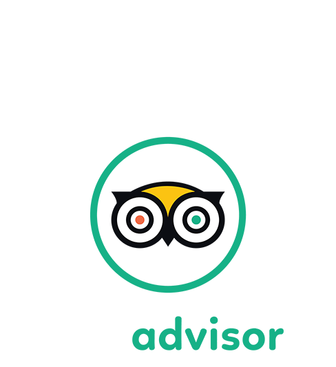 in2scuba diving Maui trip advisor traveler choice 2021 2022
